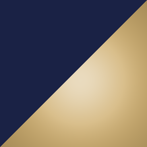 Navy/Gold swatch