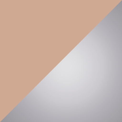 Nude/Silver swatch