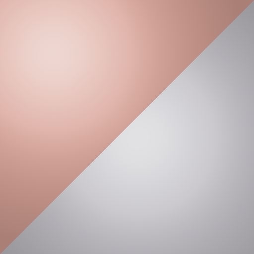 Rose Gold/Silver swatch