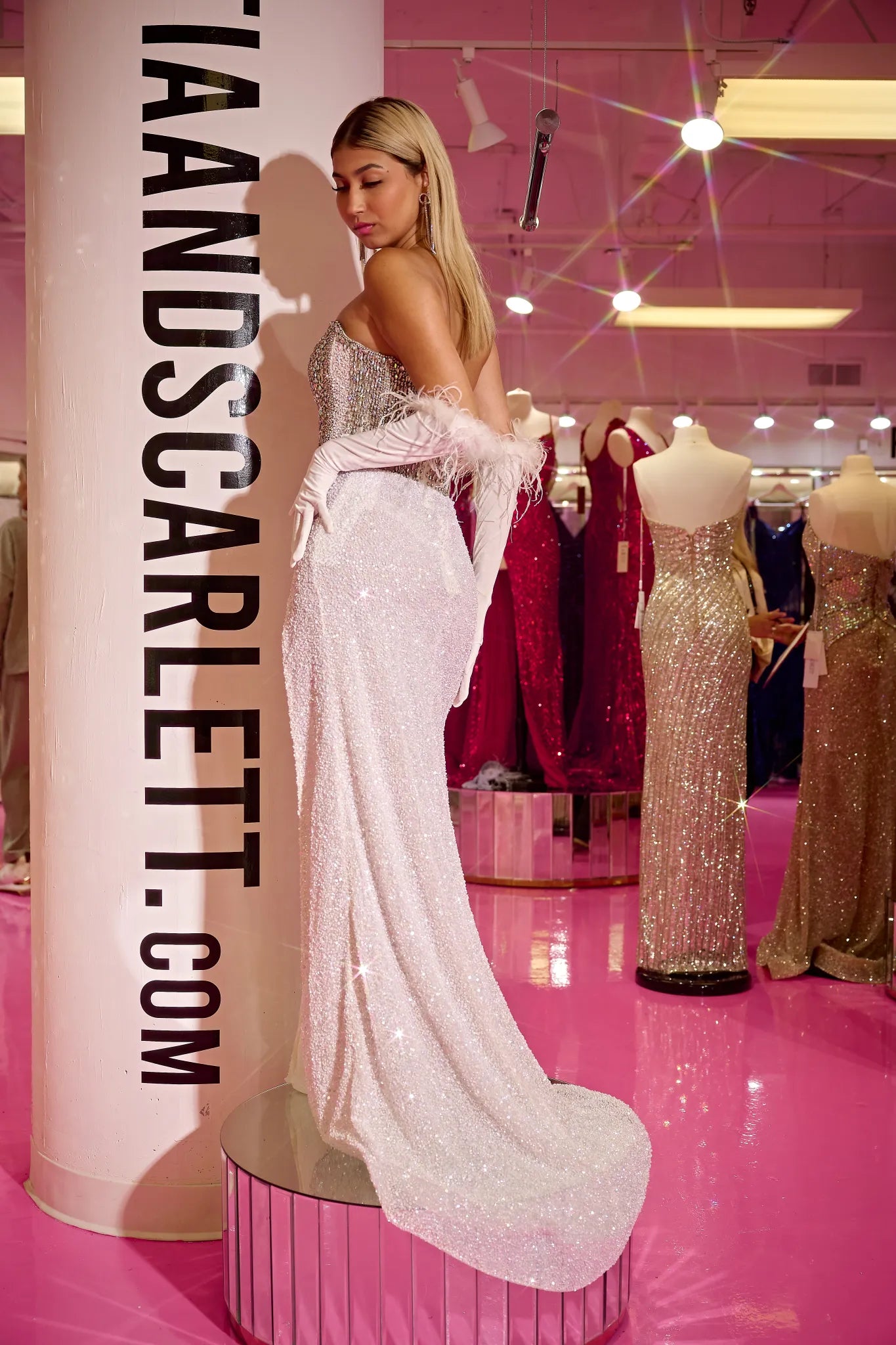TIAN & SCARLETT SILVER NUDE Gown