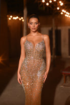 PS25996C Silver/Nude