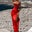 0 / Red