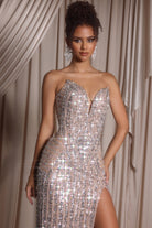 Nude Silver Sequin Dress - PS26424C