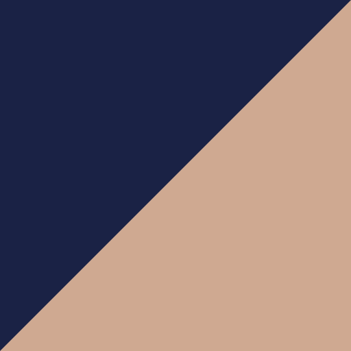 Navy/Nude swatch