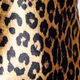 Leopard swatch