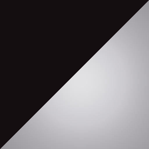 Black/Silver swatch