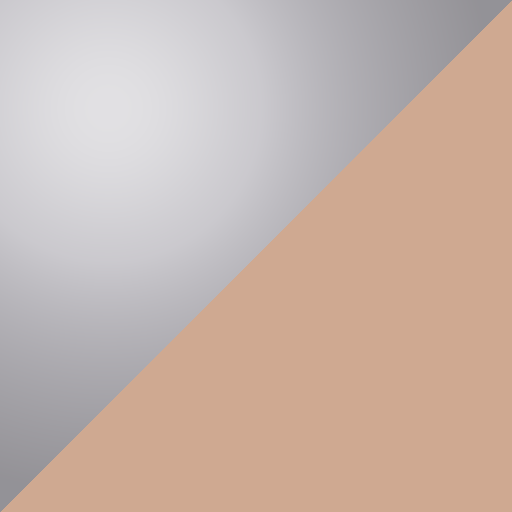 Silver/Nude swatch