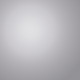 Silver swatch